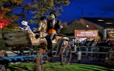 Screamfest Burton 2018 Review