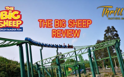 The Big Sheep 2019 Review