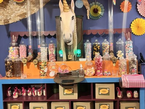 Wizard Exploratorium Wizard Exploratorium Potions Making Experience Review - Thrill Nation