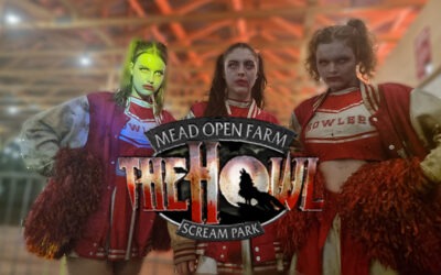 The Howl 2022 Review