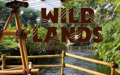 Wildlands Adventure Zoo Review