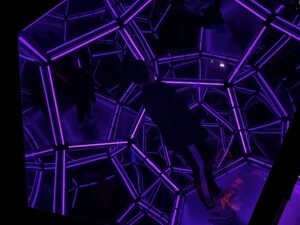 Wake The Tiger Review