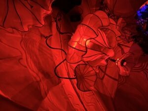 Wake The Tiger Review