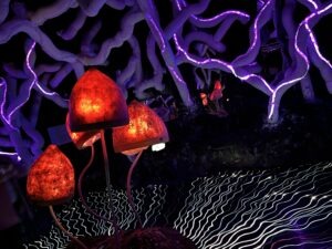 Wake The Tiger Review