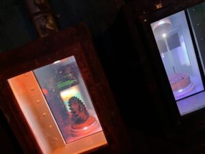 Wake The Tiger Review
