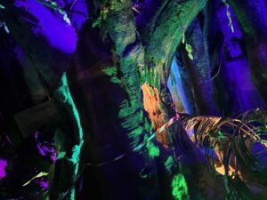 Wake The Tiger Review
