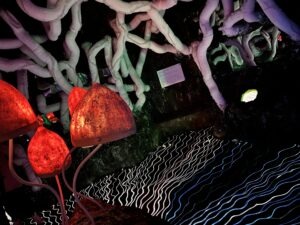 Wake The Tiger Review
