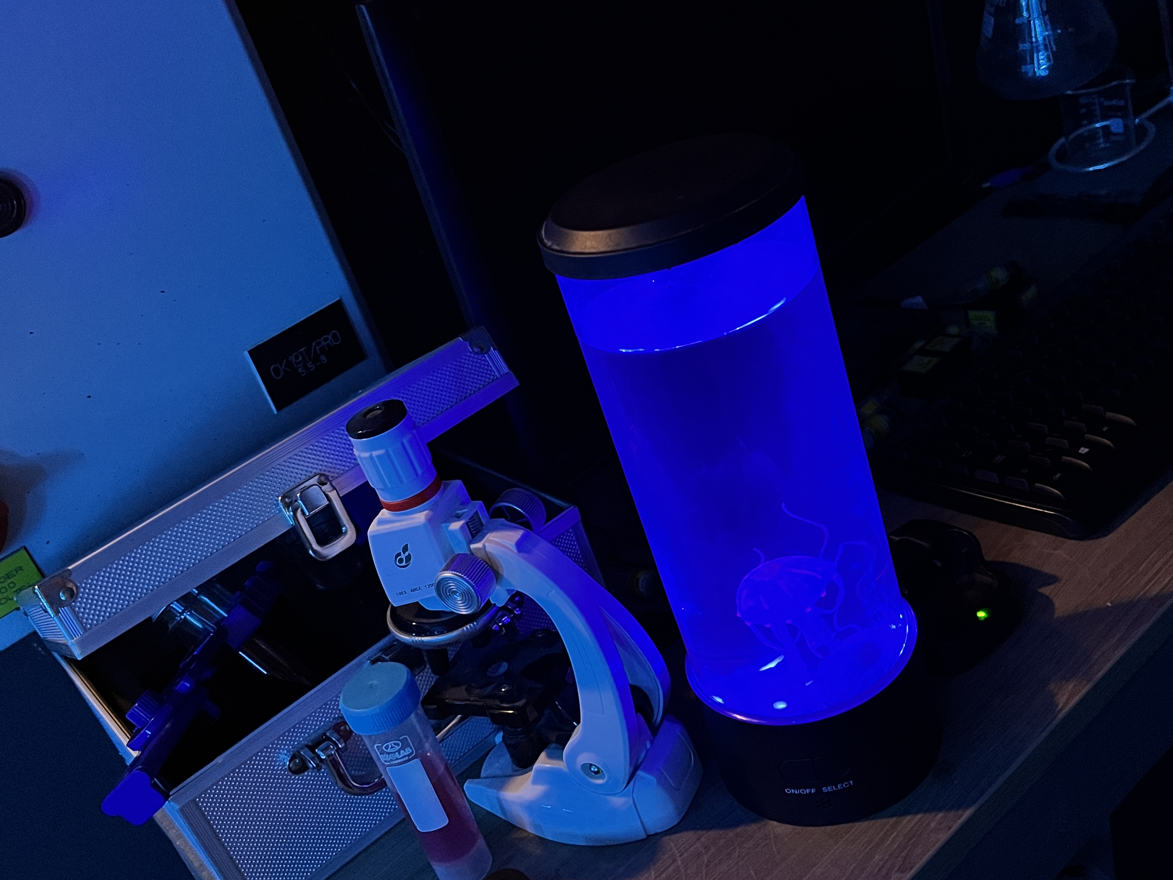 Avora Cocktail Experience Review - Thrill Nation