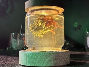 Avora Cocktail Experience Review