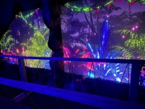 Avora Cocktail Experience Review