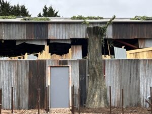 First Look Inside the World of Jumanji at Chessington