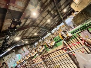 First Look Inside the World of Jumanji at Chessington