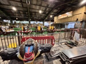 First Look Inside the World of Jumanji at Chessington