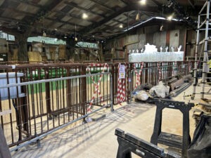 First Look Inside the World of Jumanji at Chessington