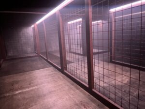 SAW Escape Experience Review
