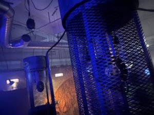 SAW Escape Experience Review
