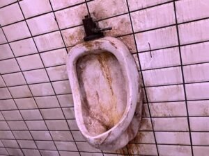 SAW Escape Experience Review