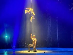 Circus Extreme Review