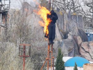 Parc Asterix Review