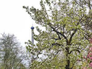 Bayern Park Review ()