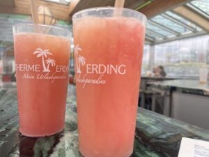 Therme Erding Review Waterpark ()