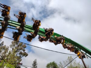 World of Jumanji at Chessington World of Adventures Review ()