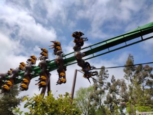 World of Jumanji at Chessington World of Adventures Review ()