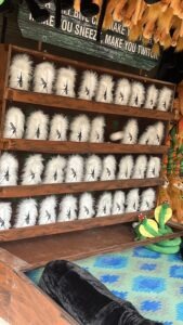 World of Jumanji at Chessington World of Adventures Review ()