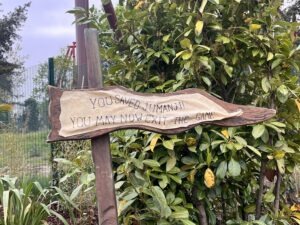 World of Jumanji at Chessington World of Adventures Review ()