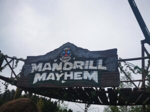 World of Jumanji at Chessington World of Adventures Review ()