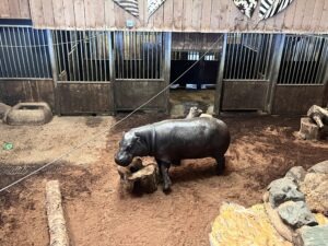 Colchester Zoo Review ()