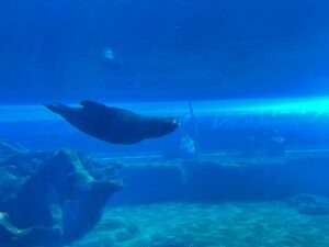 Colchester Zoo Review ()