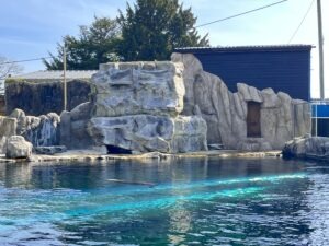 Colchester Zoo Review ()