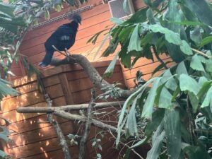Colchester Zoo Review ()