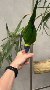 Colchester Zoo Review ()