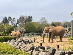 Colchester Zoo Review ()
