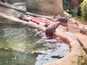 Colchester Zoo Review ()