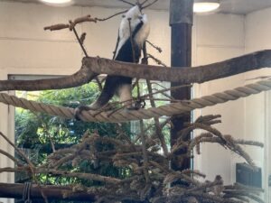 Colchester Zoo Review ()