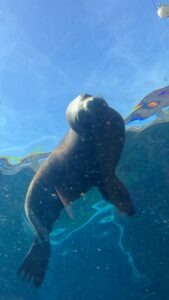 Colchester Zoo Review ()