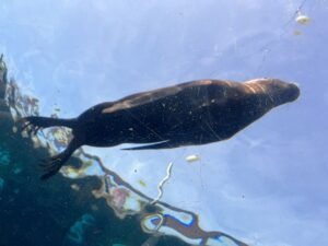 Colchester Zoo Review ()