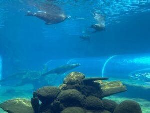 Colchester Zoo Review ()