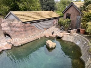 Colchester Zoo Review ()
