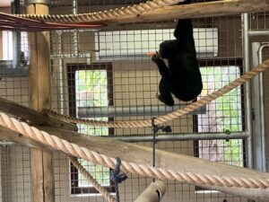 Colchester Zoo Review ()
