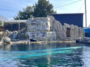 Colchester Zoo Review ()