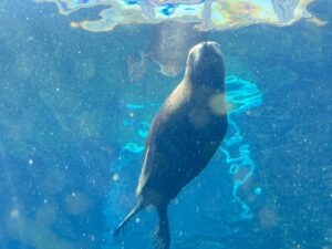 Colchester Zoo Review ()
