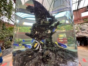 Colchester Zoo Review ()