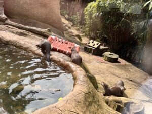 Colchester Zoo Review ()