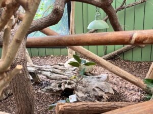 Colchester Zoo Review ()