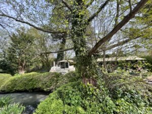 Colchester Zoo Review ()
