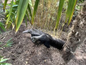 Colchester Zoo Review ()